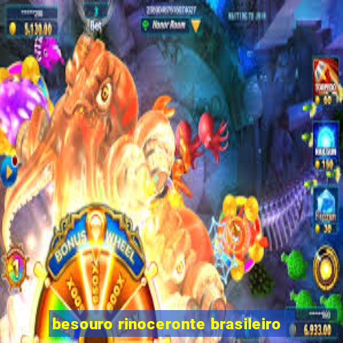 besouro rinoceronte brasileiro